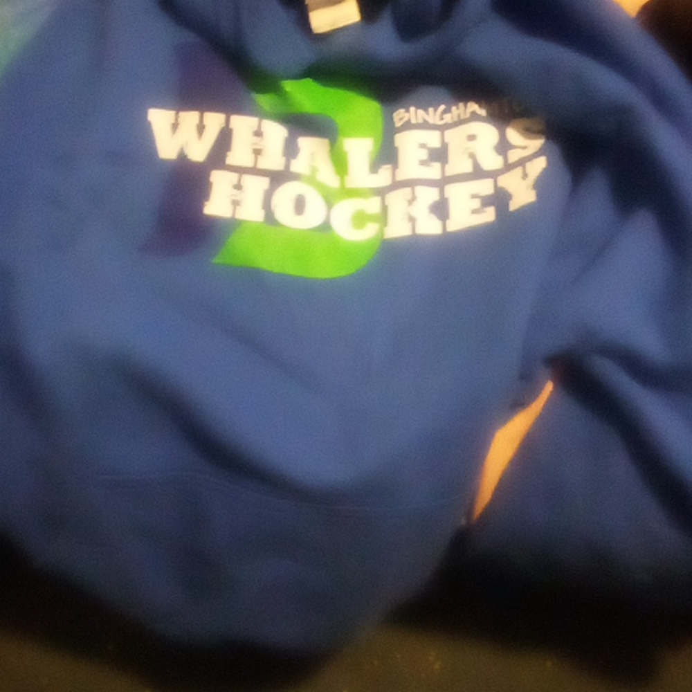 A hoodie for a drrss